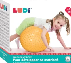 Ludi - Sansebold - Xxl