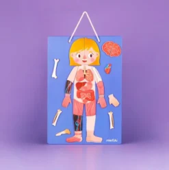 Magnetisk Legetøj - Body And Emotion - Engelsk - Mieredu