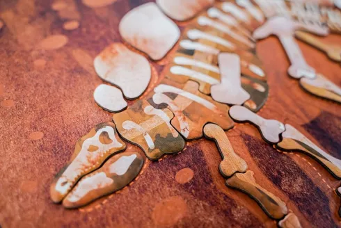 Magnetisk Legetøj Med Tavle - Stegosaurus - Mieredu