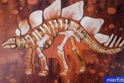 Magnetisk Legetøj Med Tavle - Stegosaurus - Mieredu