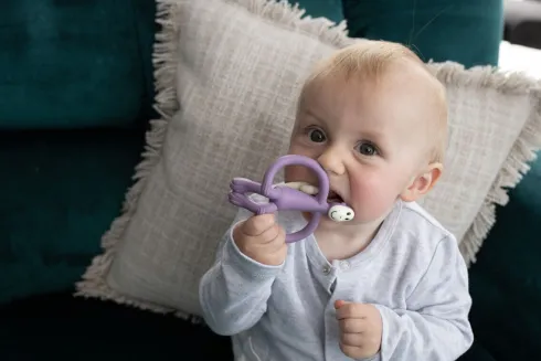 Matchstick Monkey - Teddy Tiger Teether Bidering