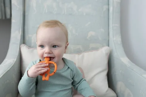 Matchstick Monkey - Teddy Tiger Teether Bidering