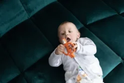 Matchstick Monkey - Teddy Tiger Teether Bidering