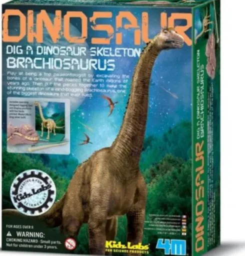 4M - Dinosaur - Dig A Brachiosaurus Skeleton - Videnskabssæt