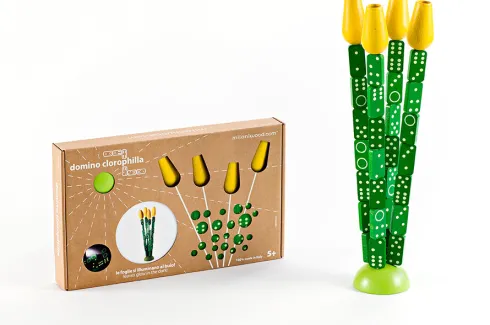 Milaniwood - Domino - Tulipaner