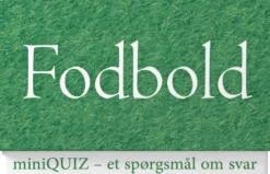 Miniquiz - Fodbold