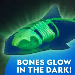 National Geographic - Glow-In-The-Dark Dissection Lab - Shark