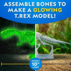 National Geographic - T. Rex Glow-In-The-Dark Dissection Lab