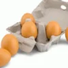 New Classic Toys - Æg I Træ - 6 Stk