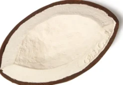 Oli & Carol - Bidering - Coco The Coconut