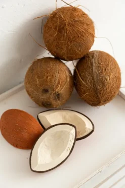 Oli & Carol - Bidering - Coco The Coconut