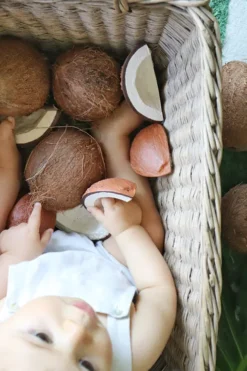 Oli & Carol - Bidering - Coco The Coconut