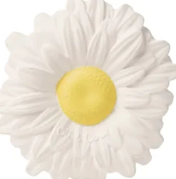 Oli & Carol Bidering - Margarita The Daisy