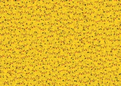 Pokémon Puslespil - Pikachu - Challenge - 1000 Brikker - Ravensburger