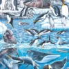 Puslespil Til Børn - Dyr Fra Antarctica - 66 Brikker