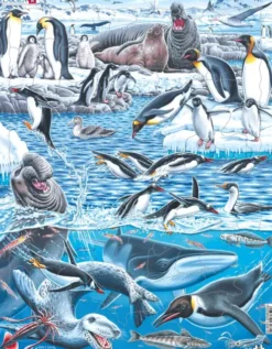 Puslespil Til Børn - Dyr Fra Antarctica - 66 Brikker