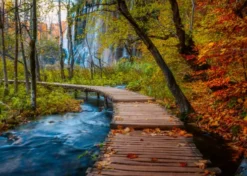 Ravensburger - Autumnal Wood Trail - 1000 - Beautiful Walkways