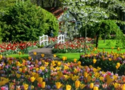 Ravensburger Puslespil - 1000 Brikker - Keukenhof Gardens