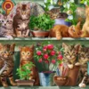 Ravensburger Puslespil - Cats On The Shelf - 500 Brikker