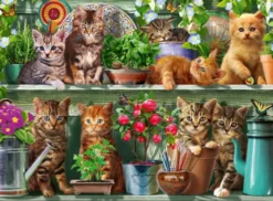 Ravensburger Puslespil - Cats On The Shelf - 500 Brikker