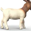 Schleich 14929 - Boer Ged - Farm World
