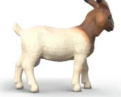 Schleich 14929 - Boer Ged - Farm World