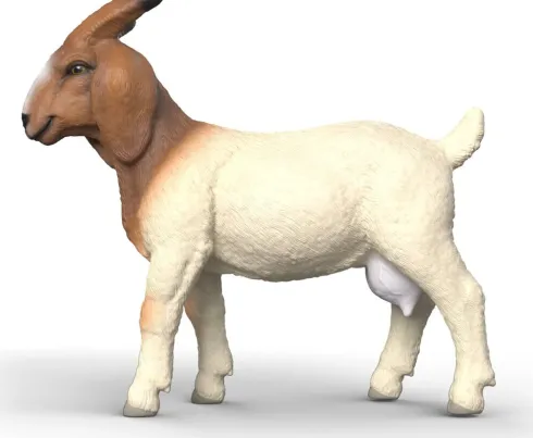 Schleich 14929 - Boer Ged - Farm World