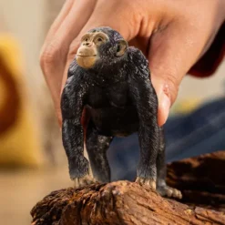 Schleich 14883 - Chimpanse Abe - Wild Life