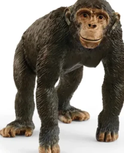 Schleich 14883 - Chimpanse Abe - Wild Life