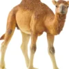 Schleich 14832 - Dromedar - Wild Life