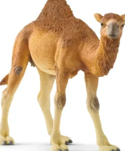 Schleich 14832 - Dromedar - Wild Life