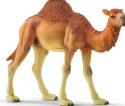 Schleich 14832 - Dromedar - Wild Life