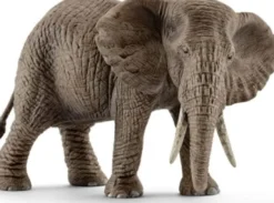 Schleich 14761 - Elefant - Afrikansk Hun - Wild Life