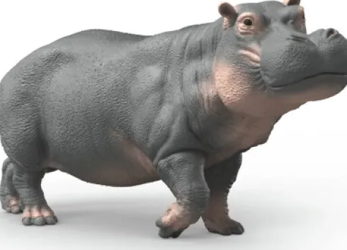 Schleich 14938 - Flodhest - Wild Life
