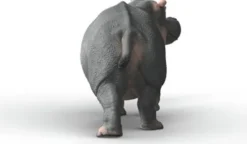 Schleich 14938 - Flodhest - Wild Life