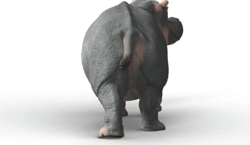 Schleich 14938 - Flodhest - Wild Life