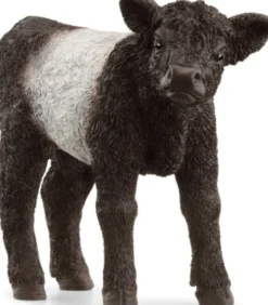 Schleich 13969 - Galloway - Kalv - Farm World