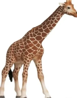 Schleich Giraf Hun - 14320
