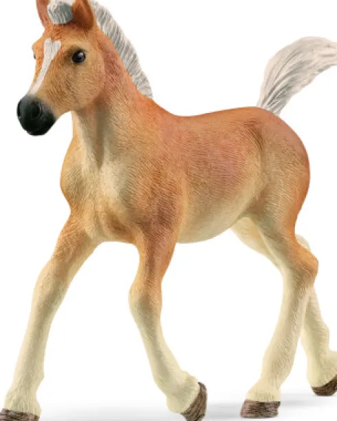 Schleich 13951 - Haflinger Hest - Føl - Horse Club