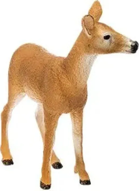 Schleich 14819 - Hvidhalet Hjort - Hun - Wild Life