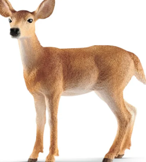 Schleich 14819 - Hvidhalet Hjort - Hun - Wild Life