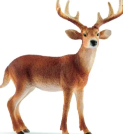 Schleich 14818 - Hvidhalet Hjort - Wild Life