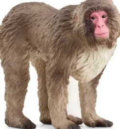 Schleich 14871 - Japansk Makakabe - Wild Life
