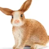 Schleich 13827 - Kanin - Farm World