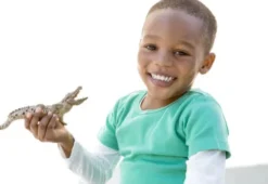 Schleich 14736 - Krokodille - Wild Life