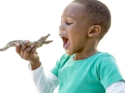 Schleich 14736 - Krokodille - Wild Life