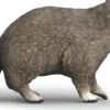 Schleich 14937 - Vaskebjørn - Wild Life