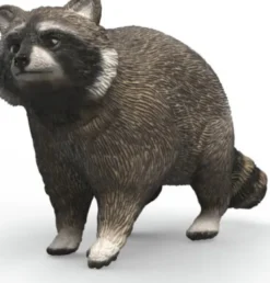 Schleich 14937 - Vaskebjørn - Wild Life
