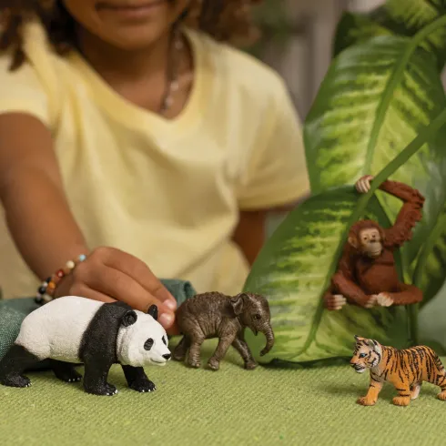 Schleich Wild Life - Asien - Starter Sæt - 42736