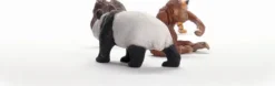 Schleich Wild Life - Asien - Starter Sæt - 42736